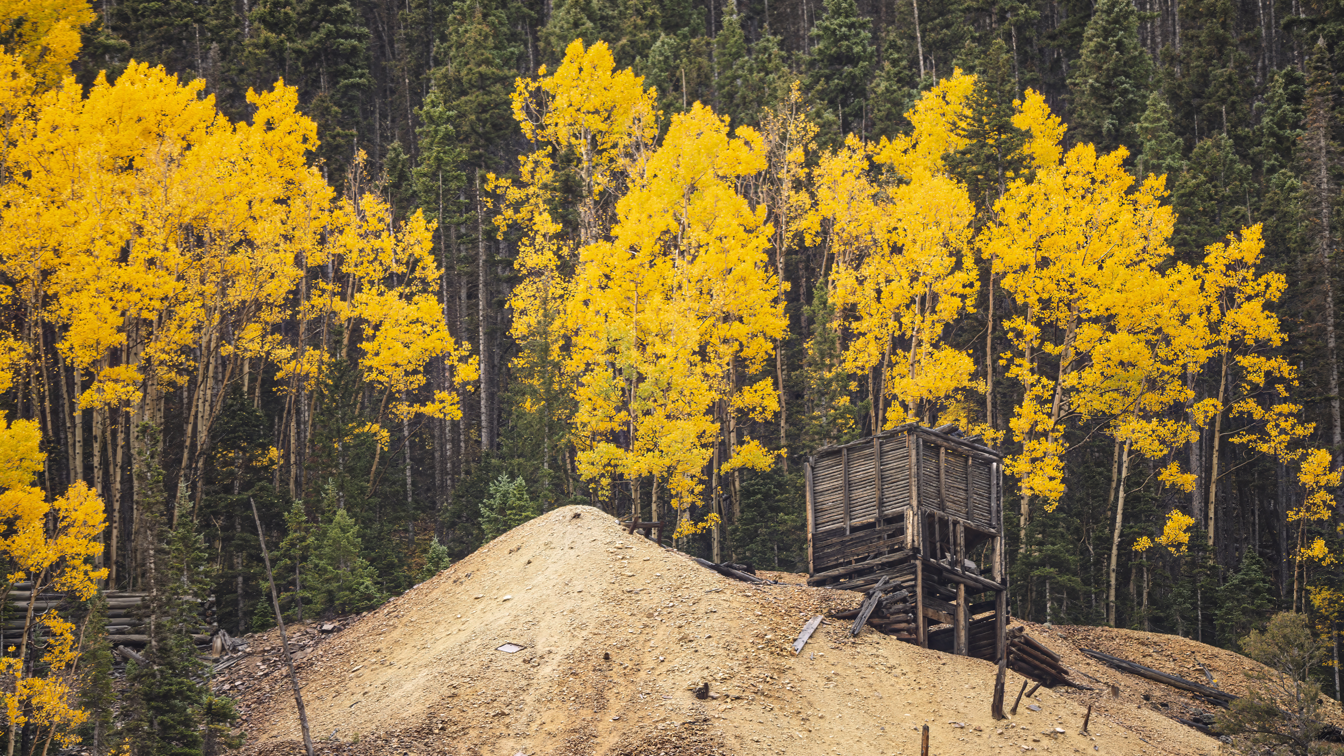 Contact Jeff Sievers